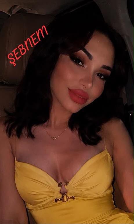 Şebnem Mersin - Profil